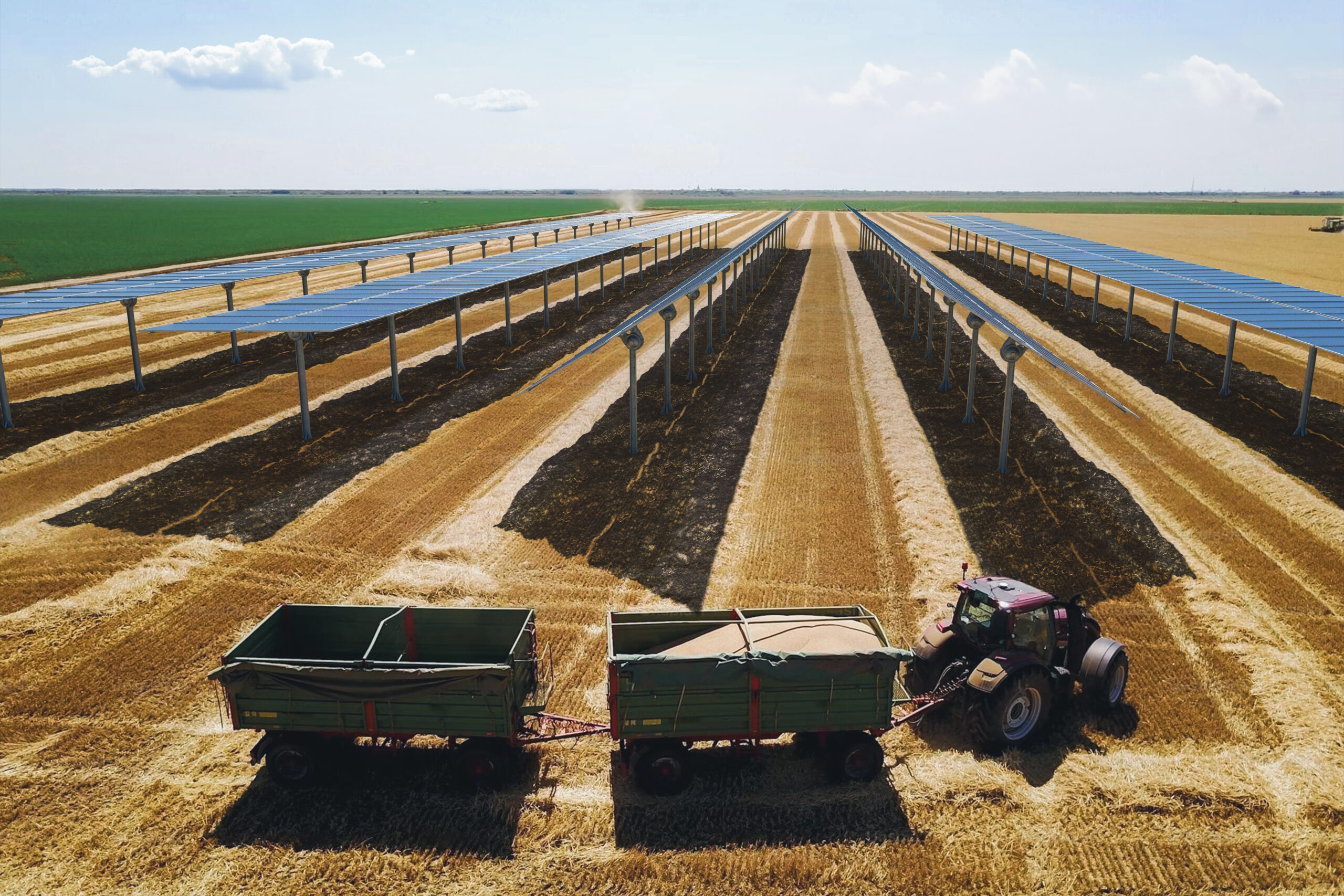 grande culture panneaux agrivoltaïque