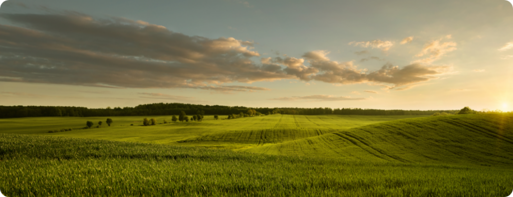 Une expertise foncière en agrivoltaïsme champs coucher de soleil