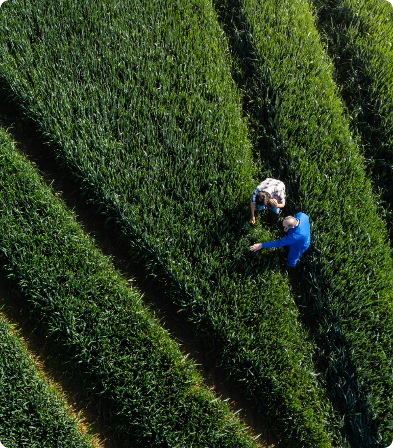 Expertise agrivoltaïque - réflexion projet sur exploitation