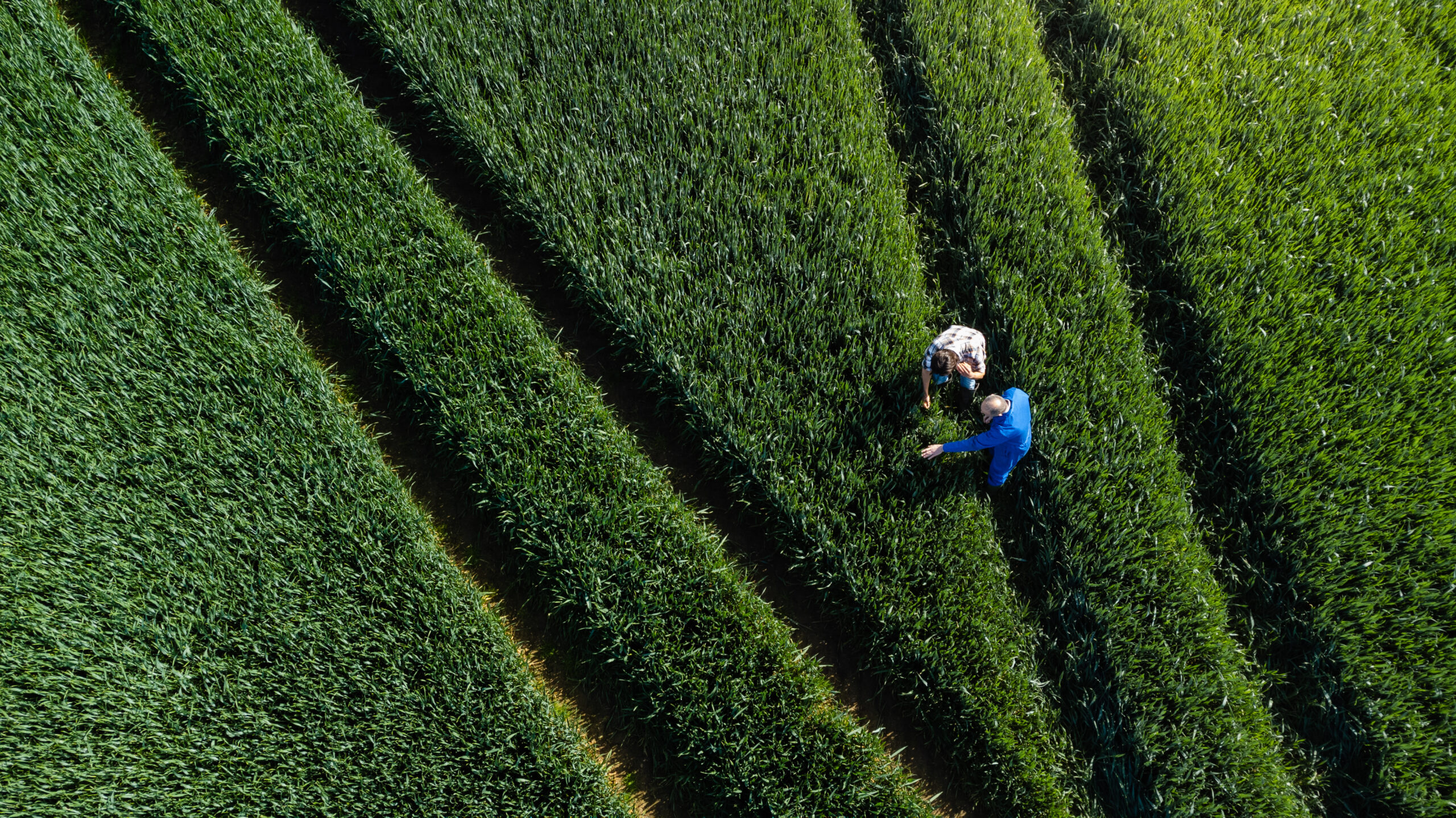 Qui sommes nous chez AgriPart'EnR ? : Équipe et philosophie :  deux personnes vue de drone dans un champ