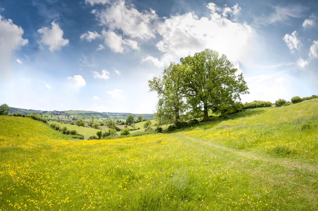 Notre équipe Agripart'EnR Notre philosophie - Prés