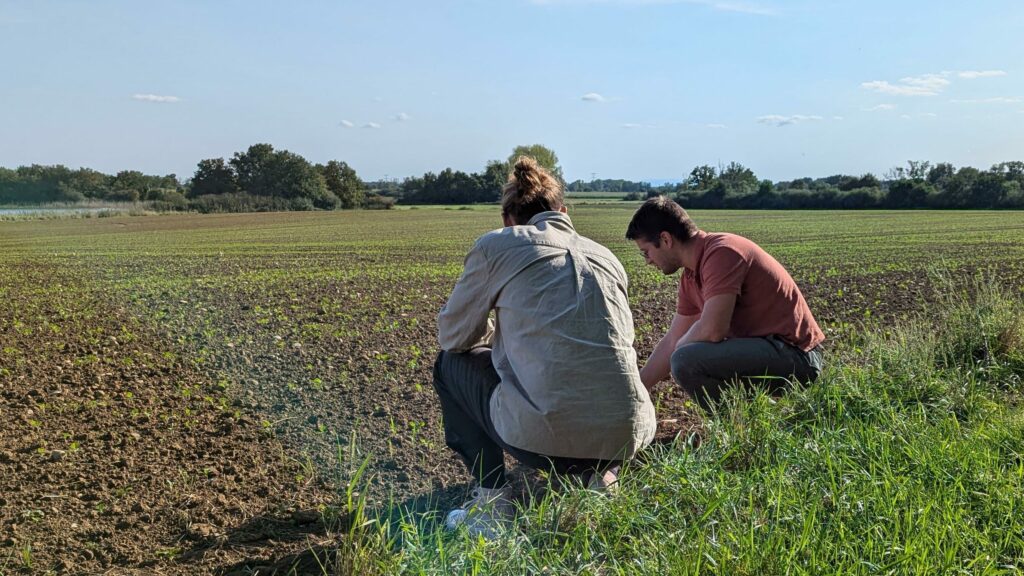 Photo expertise agrivoltaïque 