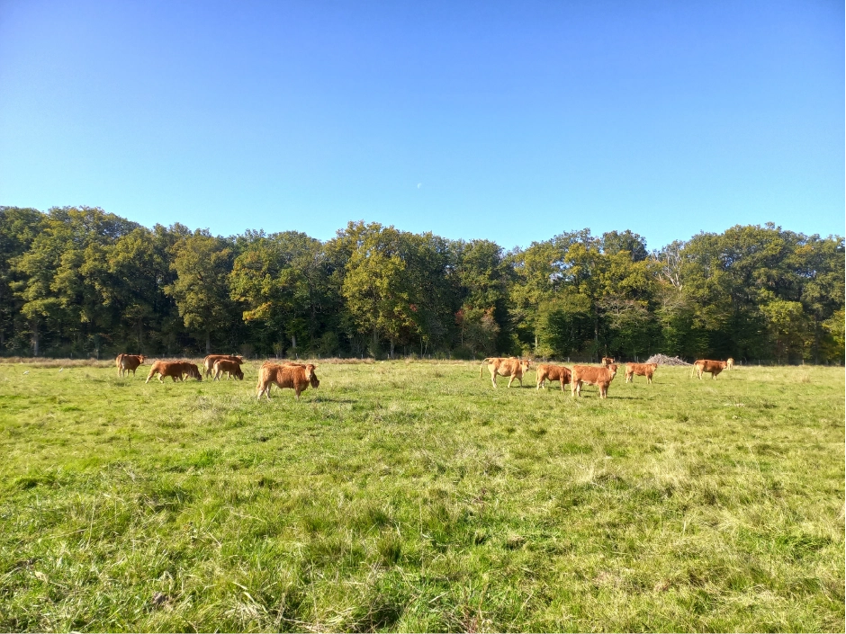 AGRIPARTENR UN ACCOMPAGNEMENT COMPLET POUR VOS PROJETS agrivoltaiques 2